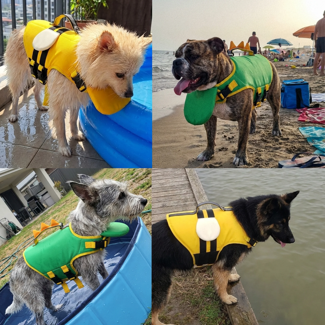 Gilet de sauvetage canin, sangles ventrales réglables