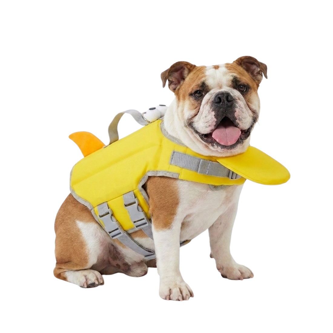Guide des tailles de la bouée pour chien